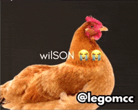 Chicken Lo Siento GIF