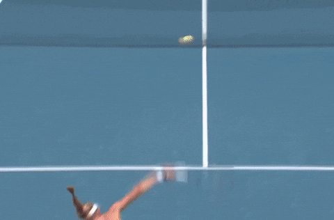 Onlajny giphyupload GIF