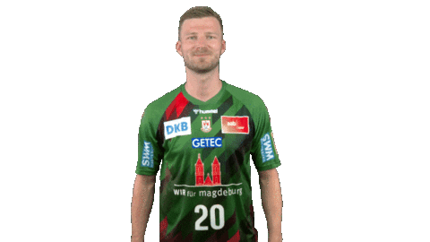 Click Handball-Bundesliga Sticker by LIQUI MOLY HBL