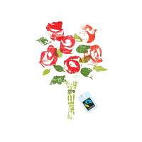 FairtradeItalia rose rosa fairtrade san valentino Sticker