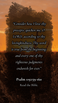 It Is True Bible Verses GIF