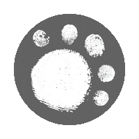 bear paws Sticker by BearHugsGifts