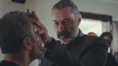 Novela Kadin GIF by RECORD