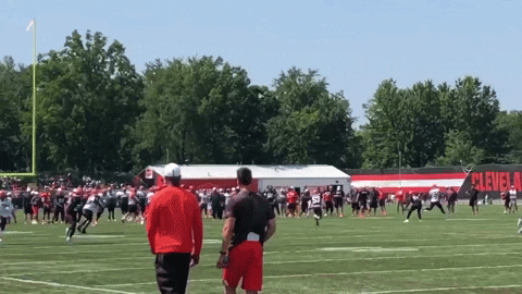 jburns1810 giphyupload GIF