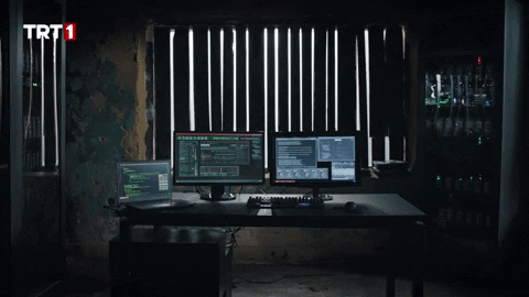 Coding Information Technology GIF by TRT