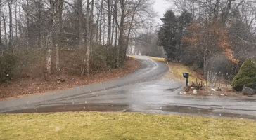 Late Winter Snow Falls in North Carolina's Northwest