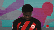 Posing Line Up GIF by Bundesliga