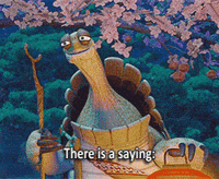 kung fu panda GIF