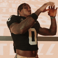 Sport Celebrate GIF by Vanderbilt Athletics