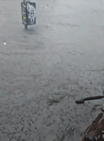 Floodwater Covers Bike Wheels as Torrential Rain Inundates Brooklyn