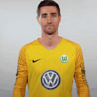 World Cup Football GIF by VfL Wolfsburg