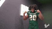 College Football GIF by USF Athletics