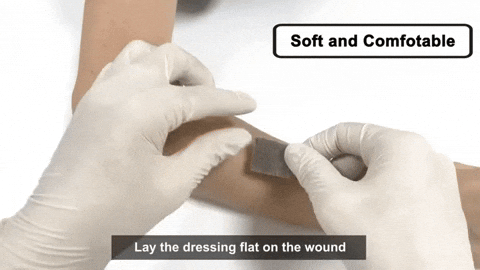giphyupload GIF