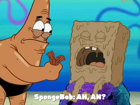 season 6 GIF by SpongeBob SquarePants