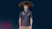 Red Bull Sport GIF by Red Bull Racing Honda