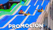 GIF by Dolphin Discovery