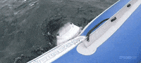 boat GIF