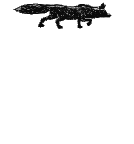 cider whatthefox Sticker by Apple Fox