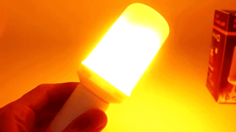 marcelocorra354f giphyupload GIF