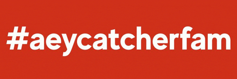aeycatcher giphyupload cardistry playingcards cardporn GIF