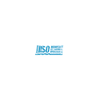 Iiso Sticker by BX Rink