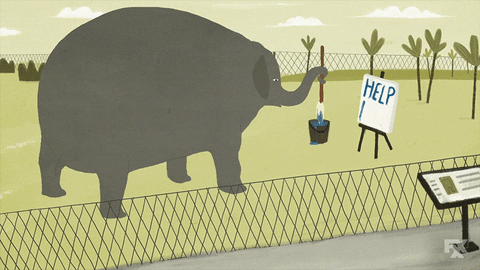 Fx Networks GIF by Cake FX