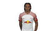 Shocked Rb Leipzig Sticker by Bundesliga
