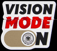 Vision U21 GIF by DFB
