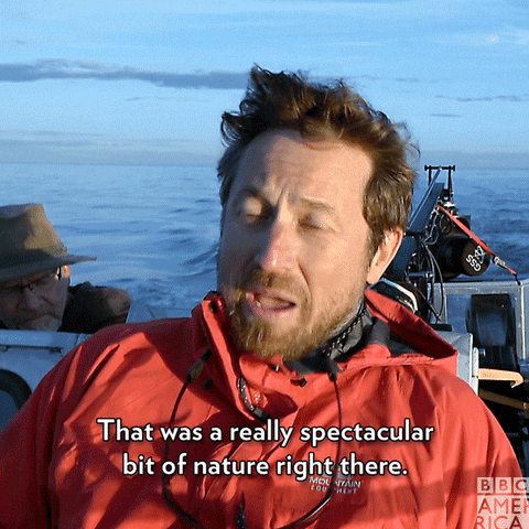 Behind The Scenes Wildlife GIF by BBC America