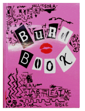 Mean Girls Pink GIF by tlorever21