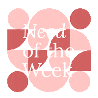 fleecherdesigns map notw mothers advocacy project mapfamily Sticker