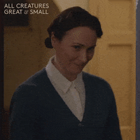 allcreaturestv smile animals cheeky yorkshire GIF
