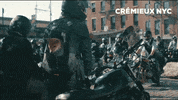 Cremieux dog fashion brand bike GIF
