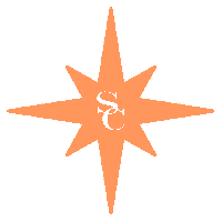 Star Logo Sticker by SOLEIL CLAIR