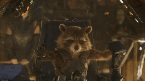 Guardians Of The Galaxy Rocket GIF by Marvel Studios