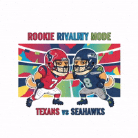 Seattle Seahawks Football GIF by Doge Pound