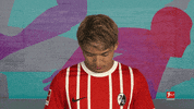Scf Doan GIF by Bundesliga