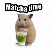 Coffee Hamster GIF