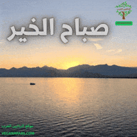 Good Morning GIF by VeganArabs