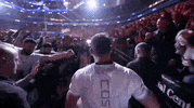 Mixed Martial Arts Sport GIF by UFC