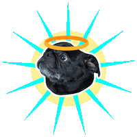 JasonKauz pepe pug pepethepug pugangel Sticker