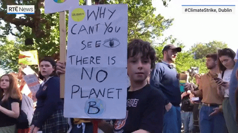 news giphydvr protest climate change ireland GIF