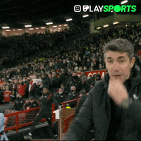 Premier League Reaction GIF by Play Sports