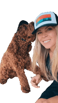 Littledoodhendrix twinning dogmom labradoodle ald Sticker