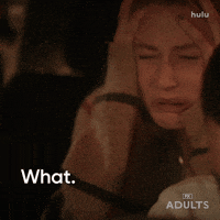 Nick Kroll Wtf GIF by Adults