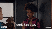 Xena Warrior Princess Lol GIF by Acorn TV
