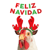 Merry Christmas Sticker by Bachoco