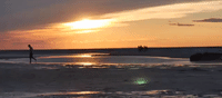 massachusetts GIF