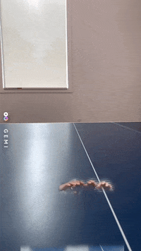 Horror Fail GIF by GEMI