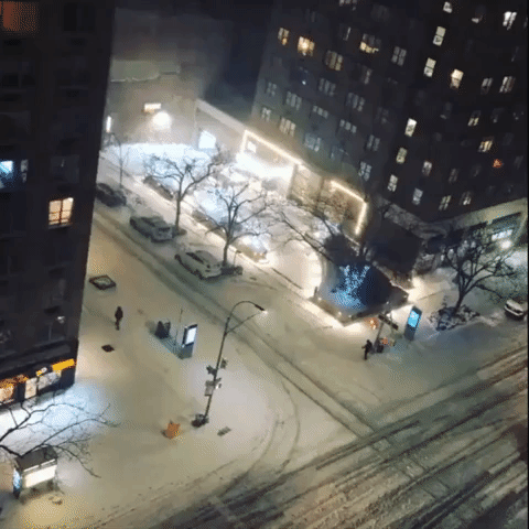 'The Empire State Building Has Disappeared': Snowstorm Blankets New York City